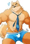 Gay furry thread. I can't find any gay furry pics on 4chan. 